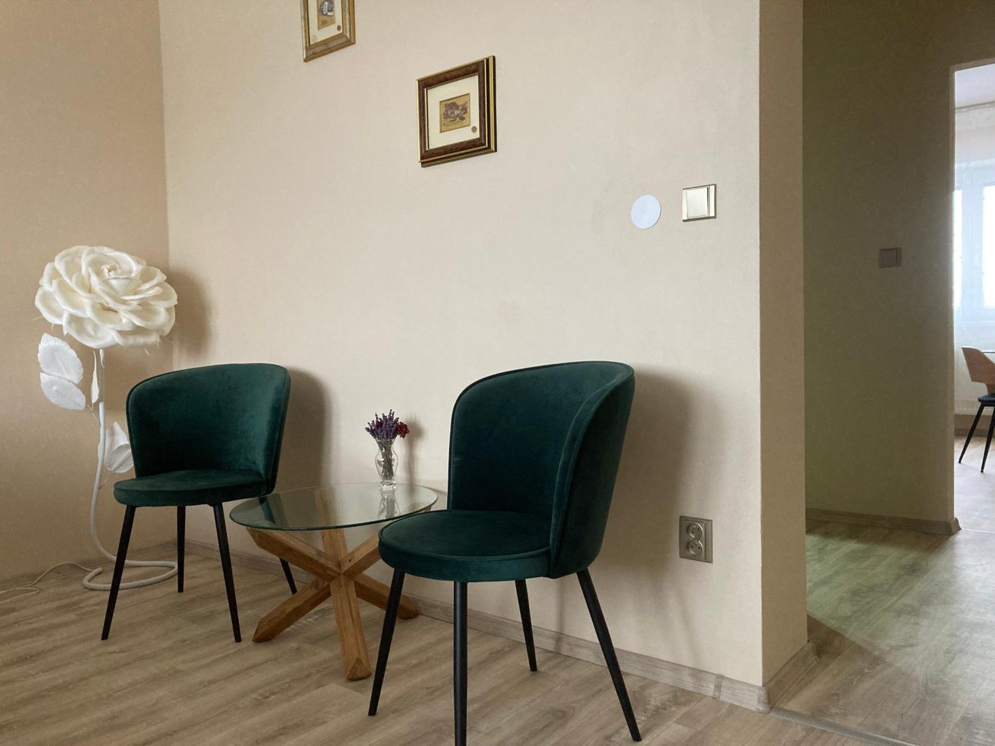 Apartment In The Garden Drzovice Bagian luar foto